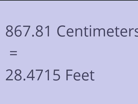 867.81 CM TO FEET