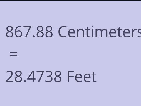 867.88 CM TO FEET