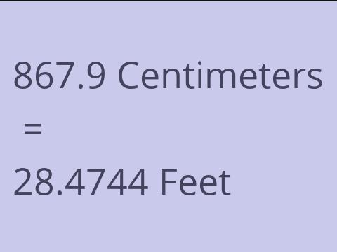 867.9 CM TO FEET