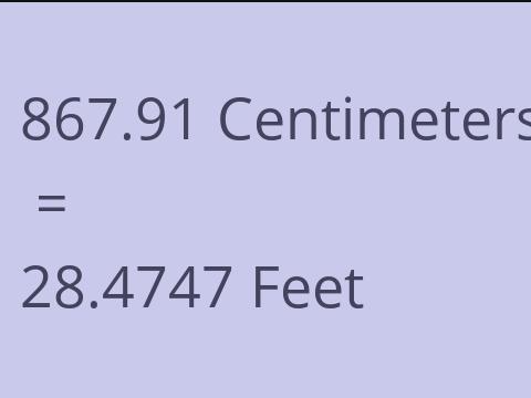 867.91 CM TO FEET