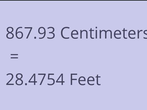 867.93 CM TO FEET