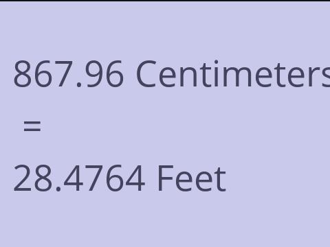 867.96 CM TO FEET