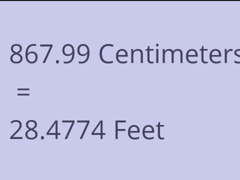 867.99 CM TO FEET