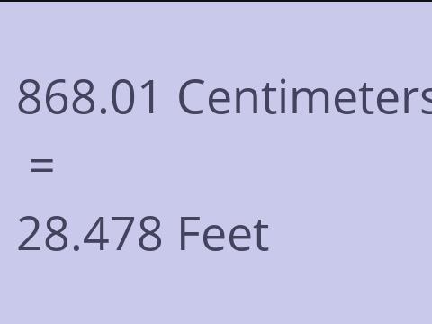 868.01 CM TO FEET