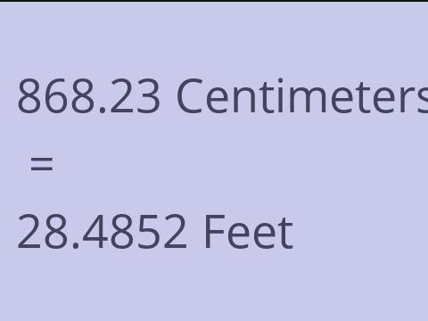 868.23 CM TO FEET