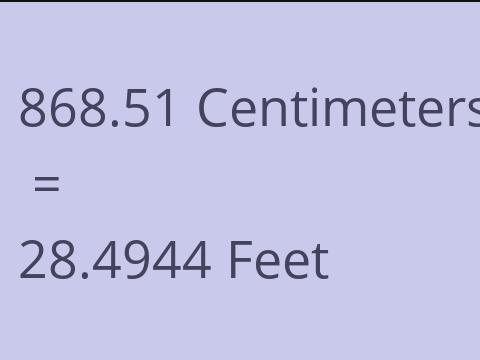 868.51 CM TO FEET