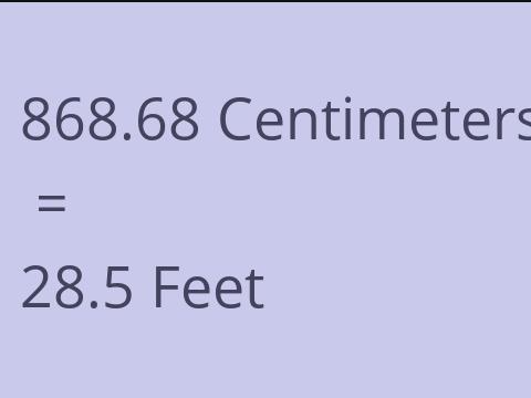 868.68 CM TO FEET