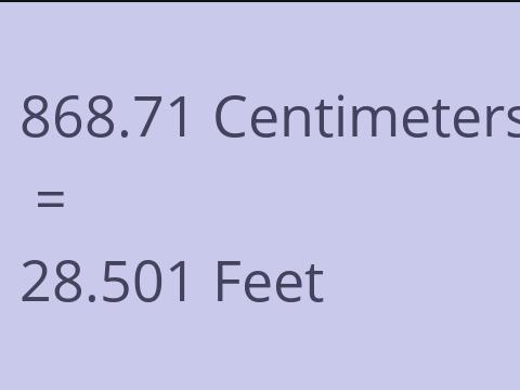 868.71 CM TO FEET