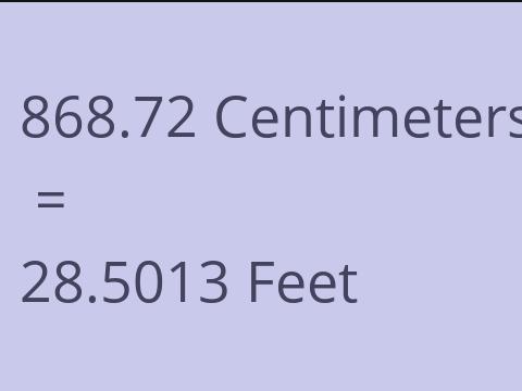 868.72 CM TO FEET