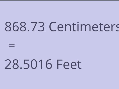 868.73 CM TO FEET