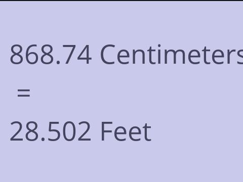 868.74 CM TO FEET