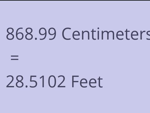 868.99 CM TO FEET