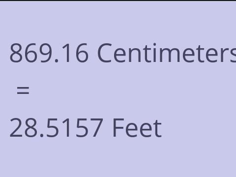 869.16 CM TO FEET