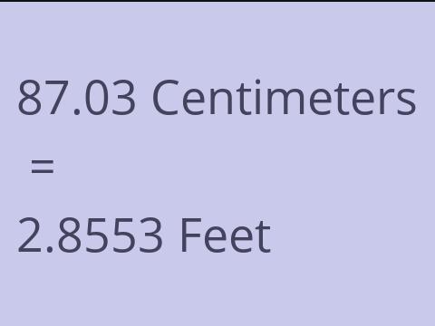 87.03 CM TO FEET