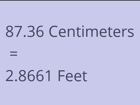 87.36 CM TO FEET