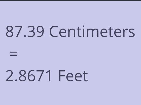 87.39 CM TO FEET