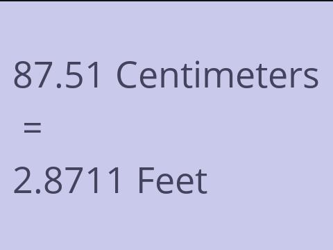 87.51 CM TO FEET