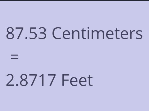 87.53 CM TO FEET