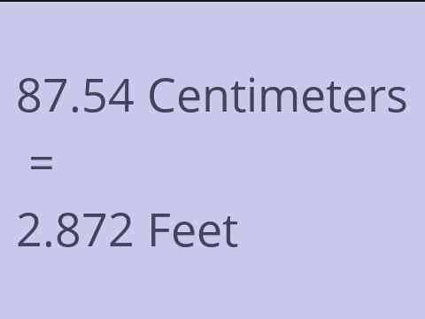 87.54 CM TO FEET