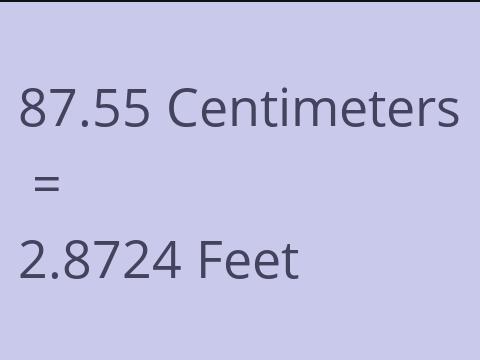 87.55 CM TO FEET