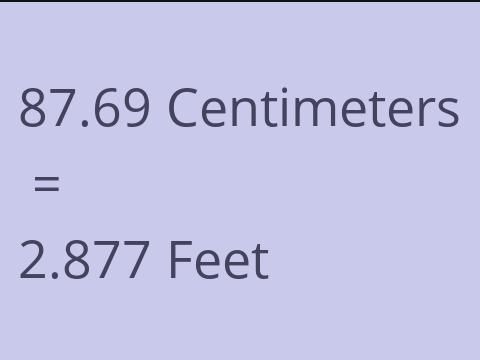 87.69 CM TO FEET