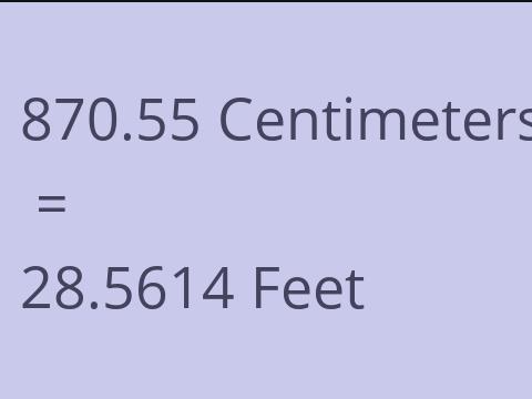 870.55 CM TO FEET