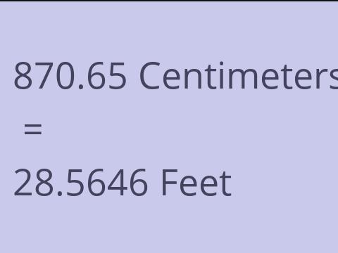 870.65 CM TO FEET