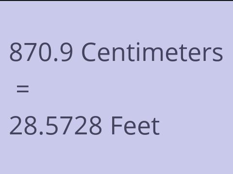 870.9 CM TO FEET