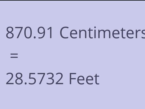 870.91 CM TO FEET