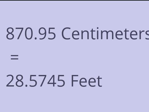 870.95 CM TO FEET