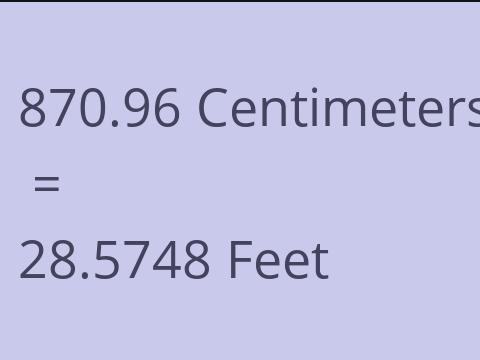 870.96 CM TO FEET