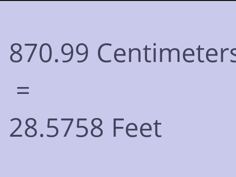 870.99 CM TO FEET