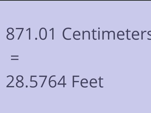 871.01 CM TO FEET