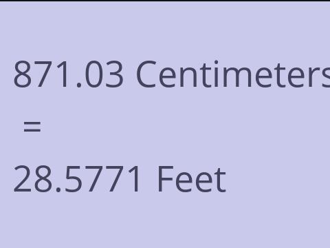 871.03 CM TO FEET