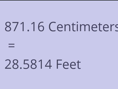 871.16 CM TO FEET