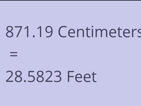 871.19 CM TO FEET