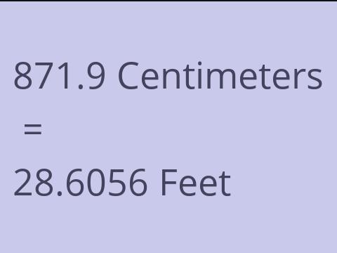 871.9 CM TO FEET