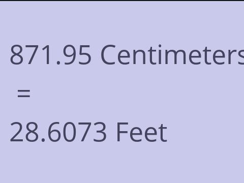 871.95 CM TO FEET