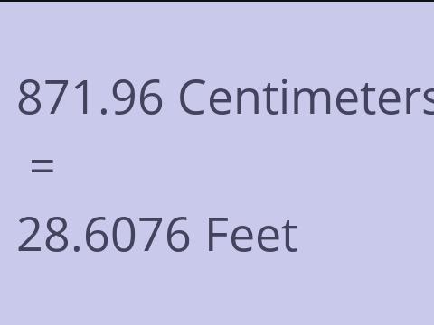 871.96 CM TO FEET