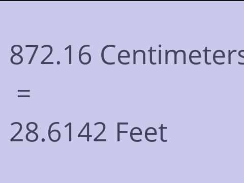 872.16 CM TO FEET