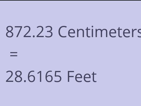 872.23 CM TO FEET