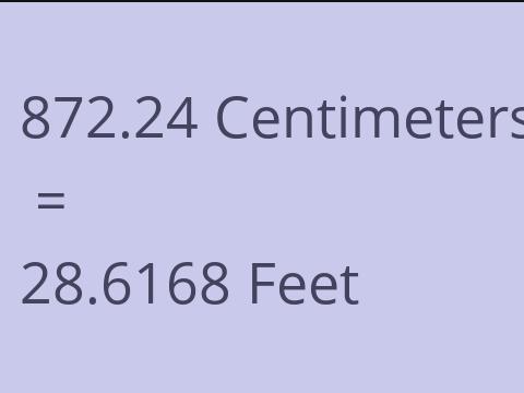 872.24 CM TO FEET