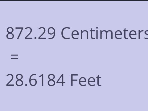 872.29 CM TO FEET