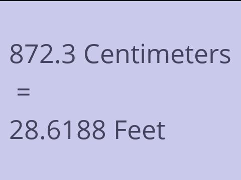 872.3 CM TO FEET