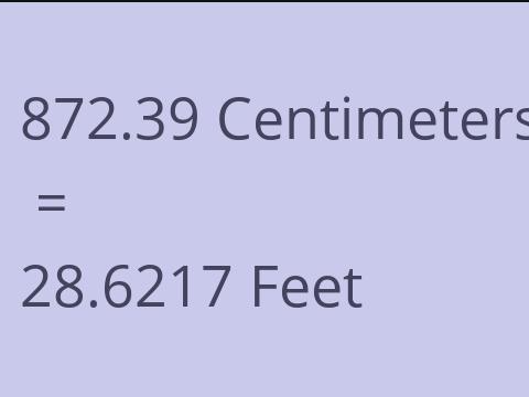 872.39 CM TO FEET