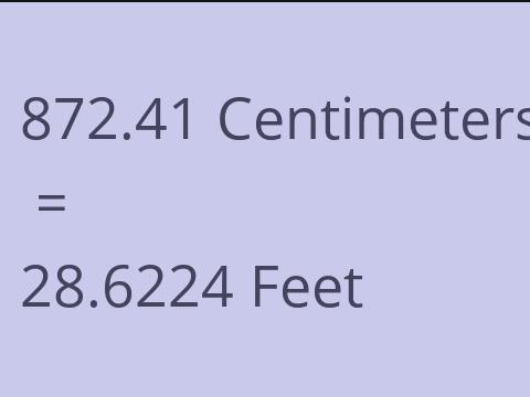 872.41 CM TO FEET