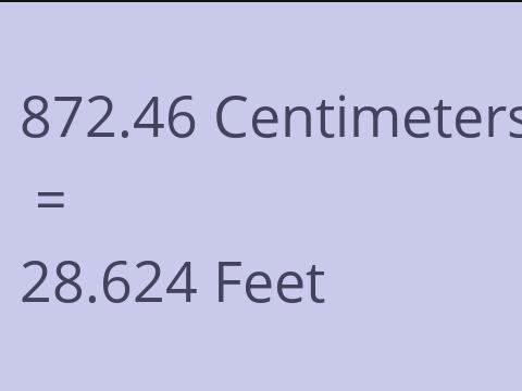 872.46 CM TO FEET