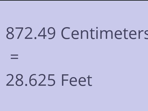 872.49 CM TO FEET