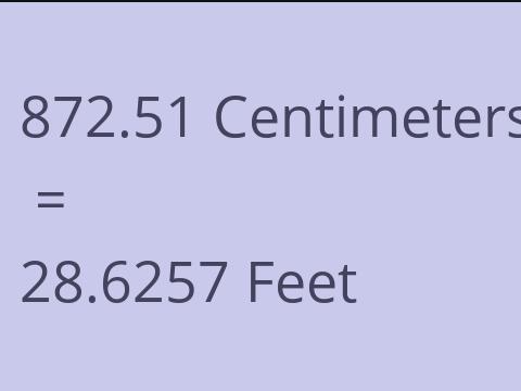 872.51 CM TO FEET