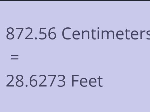 872.56 CM TO FEET